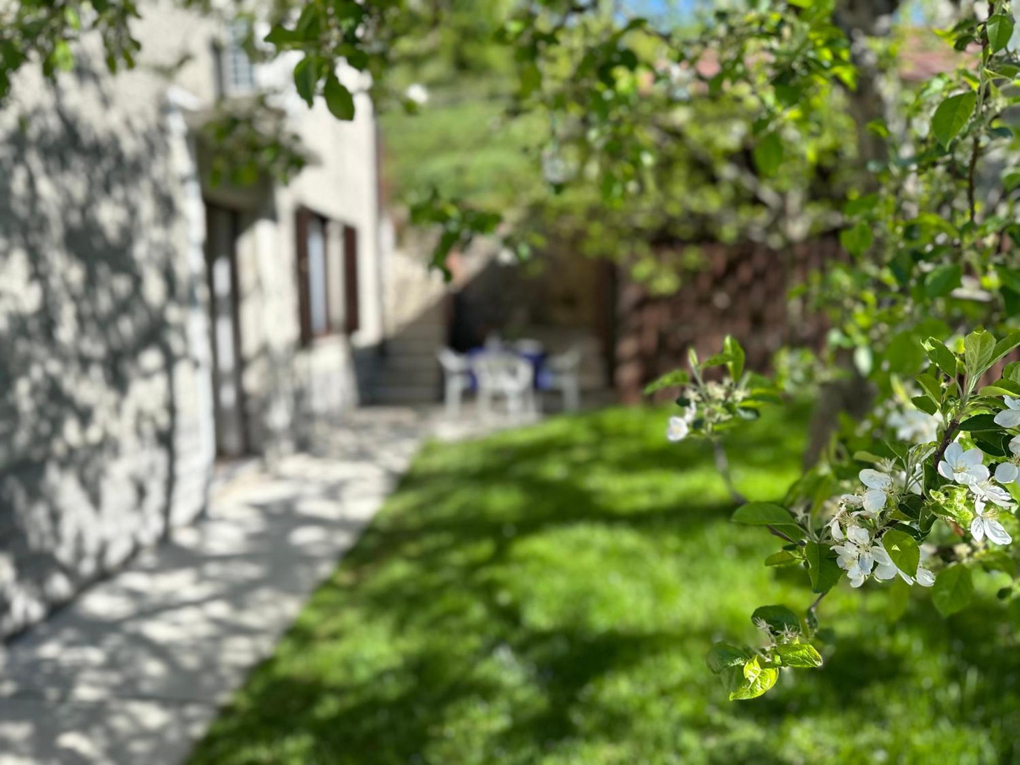 Sunny Hill Apartment Ilirska Bistrica Exterior photo
