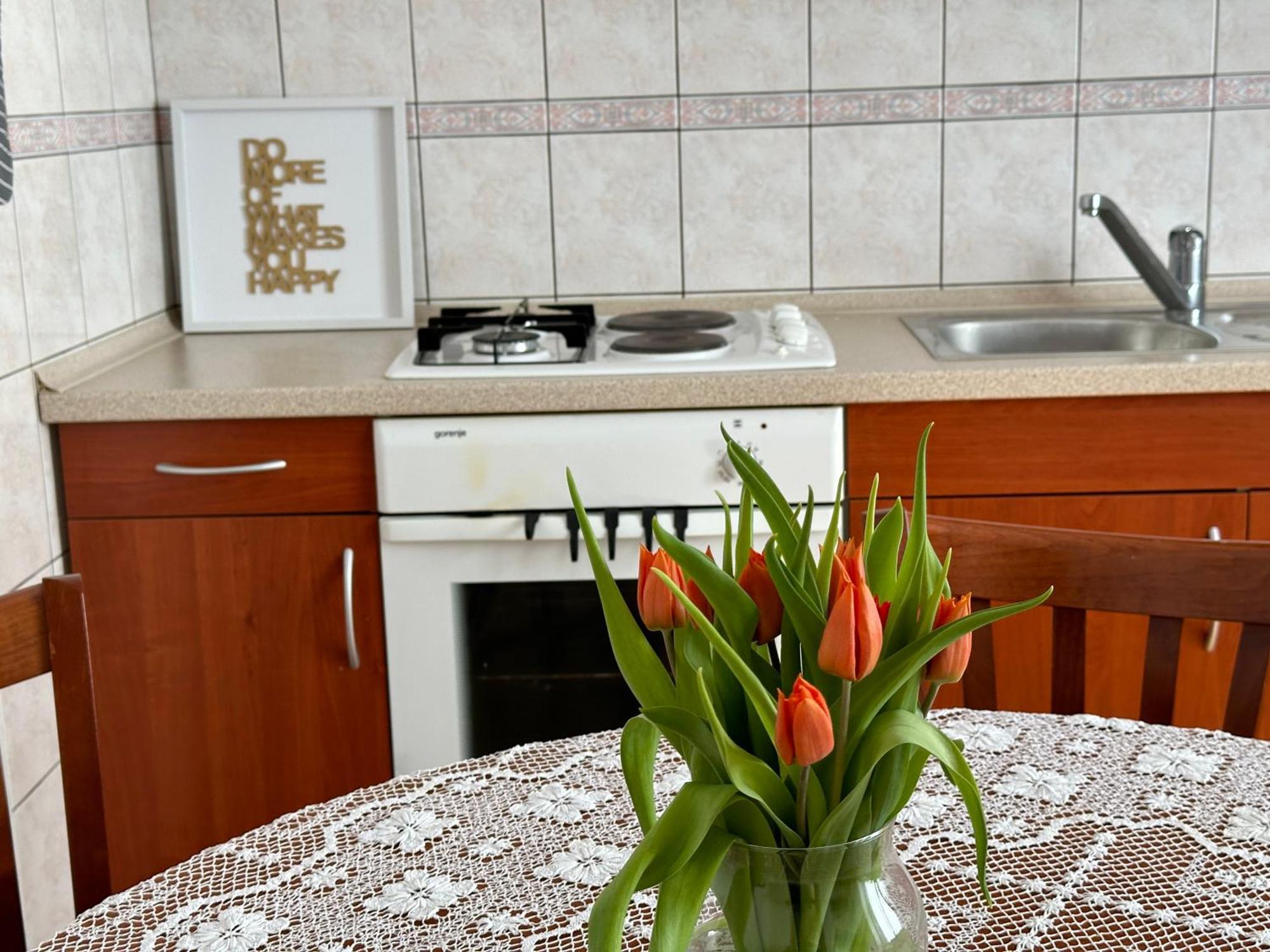Sunny Hill Apartment Ilirska Bistrica Exterior photo