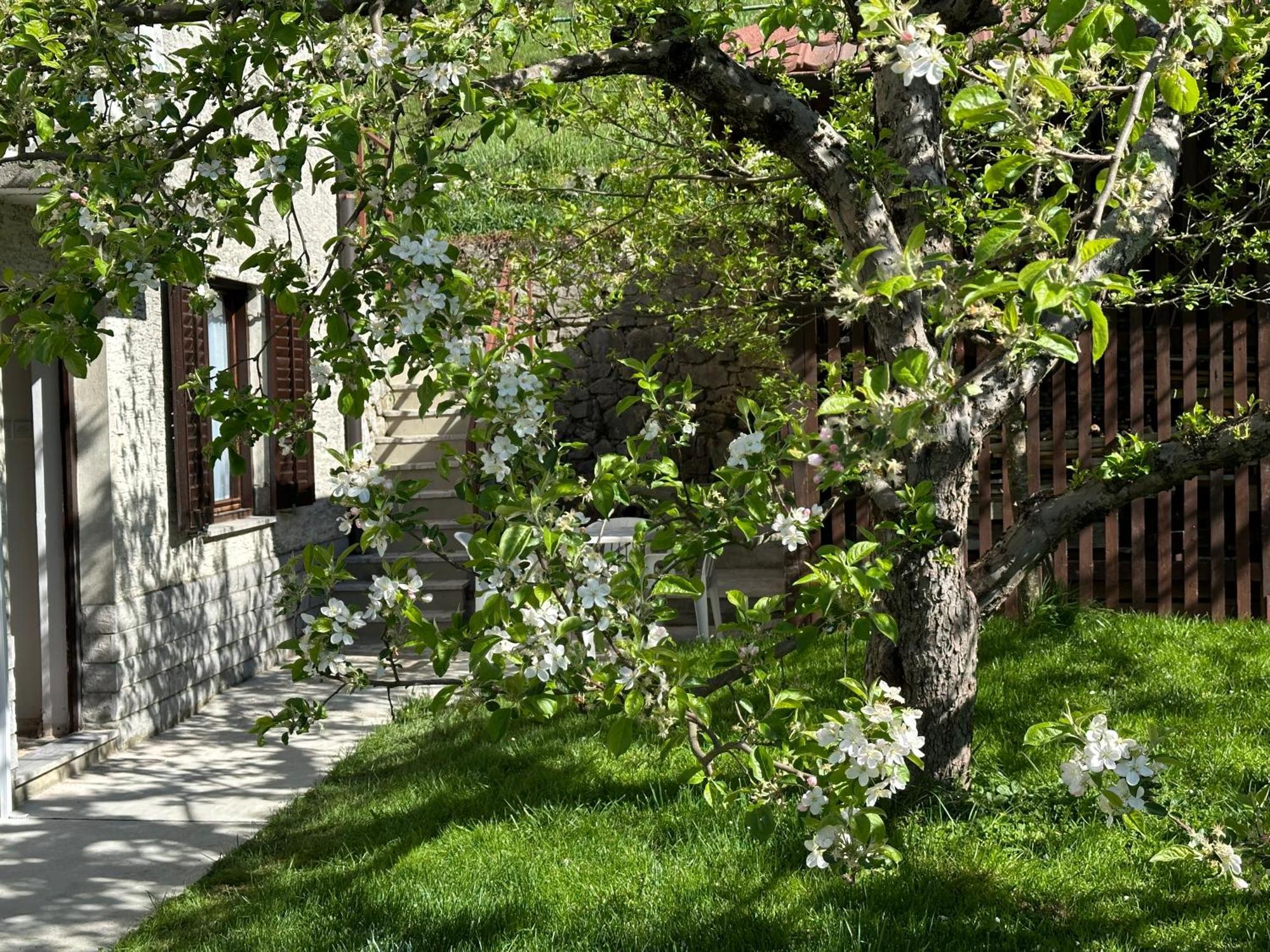 Sunny Hill Apartment Ilirska Bistrica Exterior photo